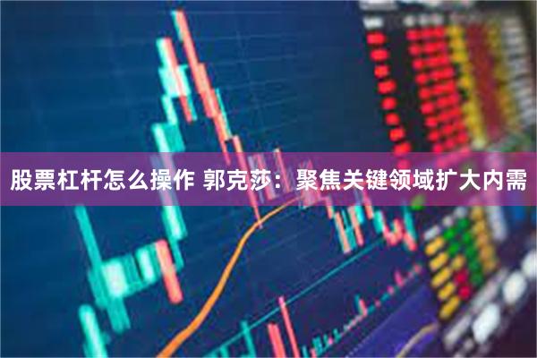 股票杠杆怎么操作 郭克莎：聚焦关键领域扩大内需