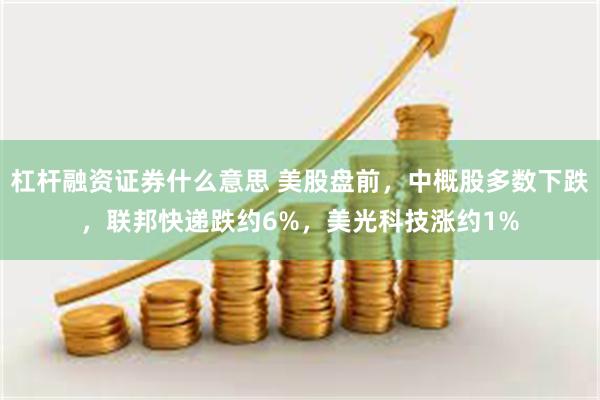 杠杆融资证券什么意思 美股盘前，中概股多数下跌，联邦快递跌约6%，美光科技涨约1%
