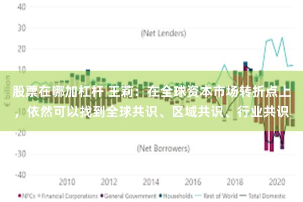 股票在哪加杠杆 王莉：在全球资本市场转折点上，依然可以找到全球共识、区域共识、行业共识
