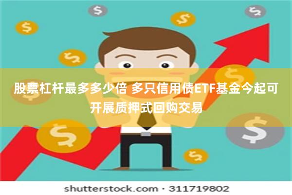 股票杠杆最多多少倍 多只信用债ETF基金今起可开展质押式回购交易
