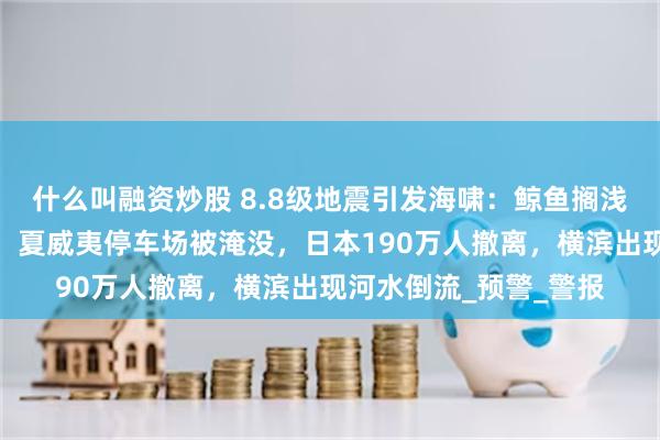 什么叫融资炒股 8.8级地震引发海啸：鲸鱼搁浅、海豹集体跳海躲避，夏威夷停车场被淹没，日本190万人撤离，横滨出现河水倒流_预警_警报