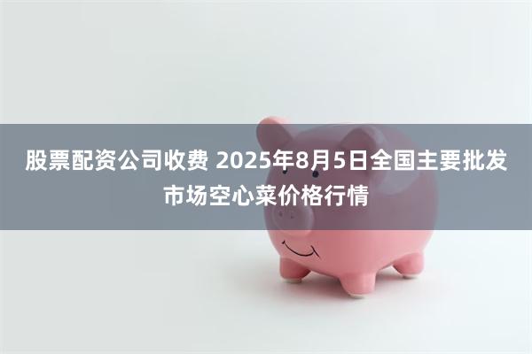 股票配资公司收费 2025年8月5日全国主要批发市场空心菜价格行情