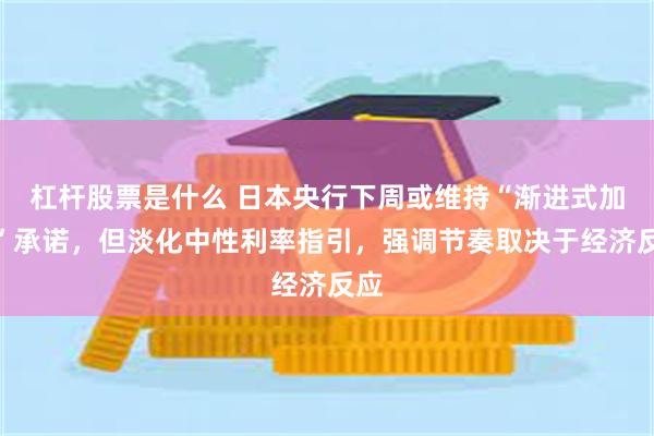 杠杆股票是什么 日本央行下周或维持“渐进式加息”承诺，但淡化中性利率指引，强调节奏取决于经济反应